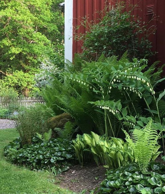 Easy, High-Impact Home Improvements That You’ve Been Overlooking
